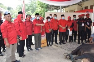 Idul Adha, PDIP se-Lampung Qurban 222 Ekor Sapi
