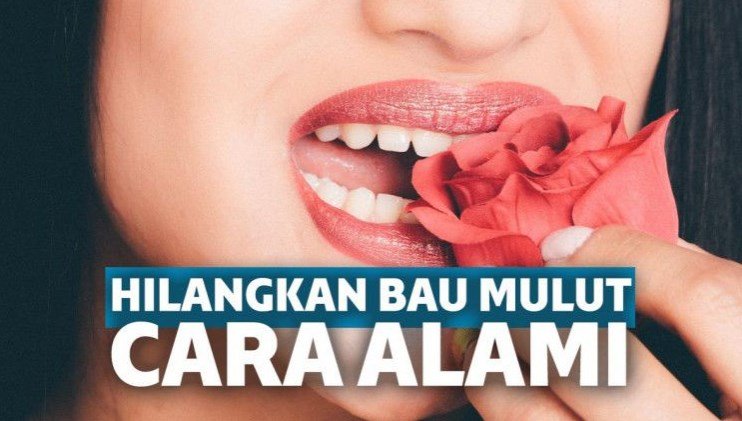 Menghilangkan Bau Mulut Secara Alami