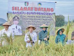 Dengan Teknologi BBM, Pringsewu jadi Lumbung Pangan Organik