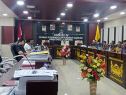 RDP dengan PLN Soal Pemadaman Listrik, Komisi IV Tegaskan Siap Kawal Sampai Tuntas