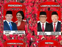 Hari ini DPP PDI Perjuangan Umumkan 60 Pasang Calonkada yang Akan Diusung Maju, Empat dari Lampung