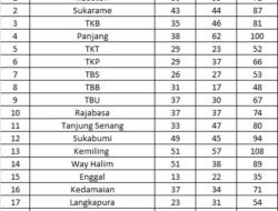 Bawaslu Bandar Lampung Lantik 1.433 PTPS 3-4 November, Juwita: PTPS Segera Upgrade Diri dalam Waktu yang Singkat