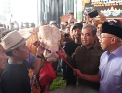 Ketua MPR Sumbang Rp 250 juta Hasil Lelang Sapi untuk Korban Erupsi Gunung Lewotobi Laki-laki