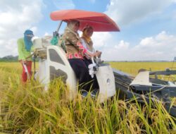 Ikaperta Unila dan Mas Tani Dorong Inovasi Padi di Lahan Asam
