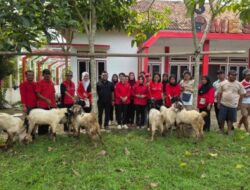 7 Kambing dan 1 Semangat Gotong Royong