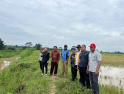 Normalisasi Tersier Mendesak, Lesty Turun Tangan