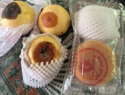 Skandal MBG Pesawaran: Dapur Ngeyel, Pir Busuk, hingga Menu Receh — BGN Bungkam?