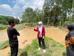 Sawah Terendam, Lesty Desak Perbaikan Tanggul Way Galih