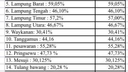 Ketimpangan Infrastruktur Lampung: Menyala di Kota, Menganga di Desa