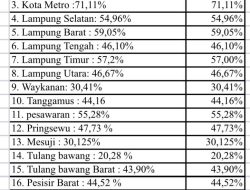 Ketimpangan Infrastruktur Lampung: Menyala di Kota, Menganga di Desa
