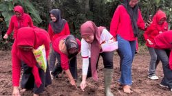 Kartini Turun ke Ladang: PDIP Lamsel Gaspol Ketahanan Pangan dari Desa