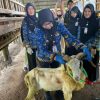 Lampung Perketat Pengawasan Kurban