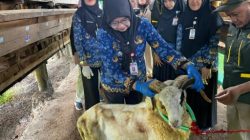 Lampung Perketat Pengawasan Kurban