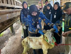 Lampung Perketat Pengawasan Kurban