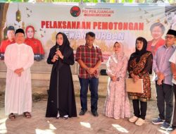PDI Perjuangan Lampung Sembelih 11 Sapi dan 3 Kambing pada Idul Adha 1447 H