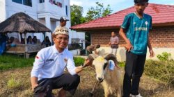 Qurban PPTQ MSI Lampung 1447 H Perkuat Nilai Sakai Sambayan dan Kepedulian Sosial Masyarakat Lampung