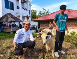 Qurban PPTQ MSI Lampung 1447 H Perkuat Nilai Sakai Sambayan dan Kepedulian Sosial Masyarakat Lampung
