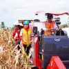 Panen Raya Jagung GNTI 2026, Ketua PDI Perjuangan Lampung Winarti Dorong Modernisasi Hingga Tahap Pascapanen
