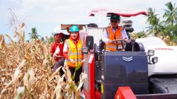 Panen Raya Jagung GNTI 2026, Ketua PDI Perjuangan Lampung Winarti Dorong Modernisasi Hingga Tahap Pascapanen