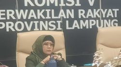 Mardiana Tuding Dewan Pendidikan Lampung yang Dilantik Gubernur Mirip LSM