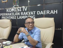 Komisi IV DPRD Atensi Pembangunan Jalan Pringsewu-Pardasuka ‘Mangkrak’, Ada Pungli
