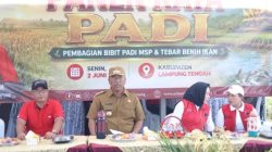 Panen Raya Bersama Petani di Lampung Tengah, Winarti Salurkan Bantuan Bibit Padi, Buku Tulis dan Benih Ikan